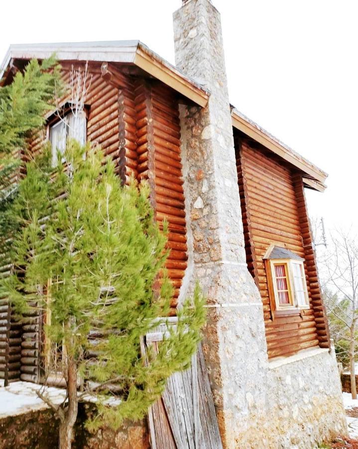 Paradise Chalet Ano Trikala Exteriér fotografie