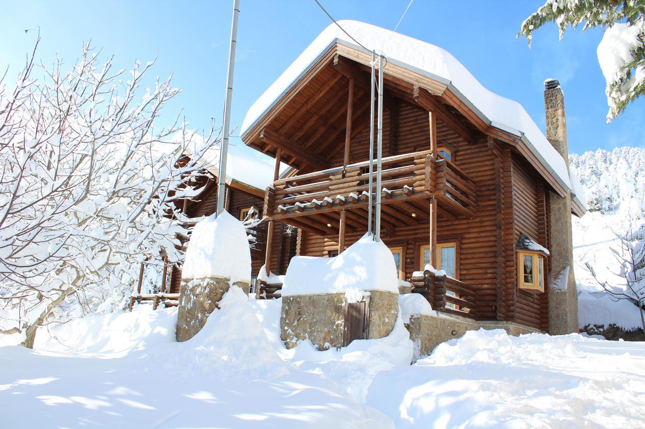 Paradise Chalet Ano Trikala Exteriér fotografie