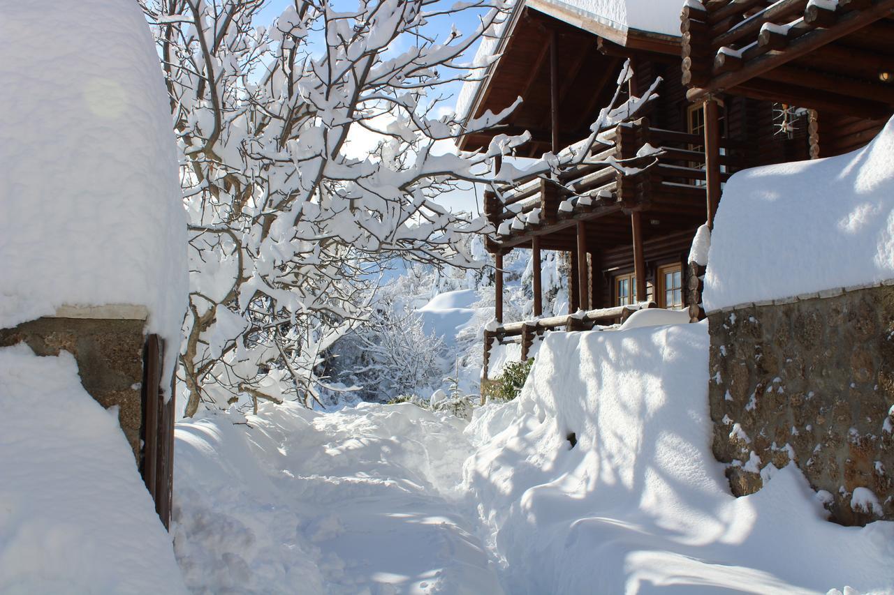 Paradise Chalet Ano Trikala Exteriér fotografie